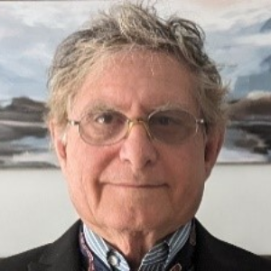 Speaker at Conference - Assad Alammar