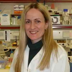 Speaker at Conference - Eleni Petsalaki