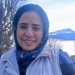 Speaker at Conference - Manijeh Firoozi