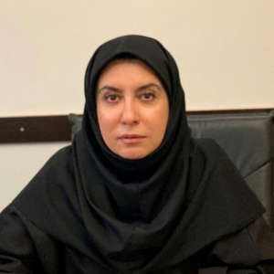 Speaker at Conference - Navid Mirzakhani