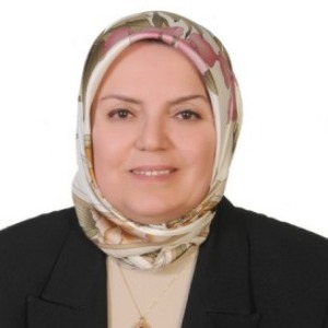 Speaker at Conference - Ozcan Erdogan