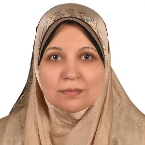 Speaker at Conference - Ragia Moussa Moussa