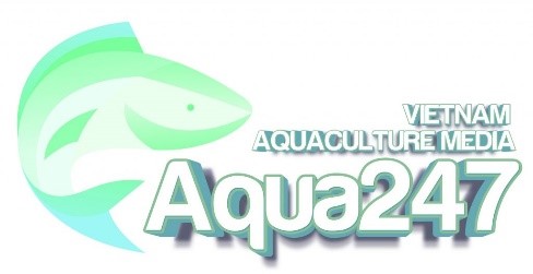 Aqua247