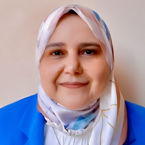 Speaker at Conference - Nashwa Elsayed Elkasaby