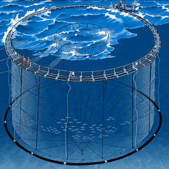 World Congress on Aquaculture, Fisheries & Marine Science