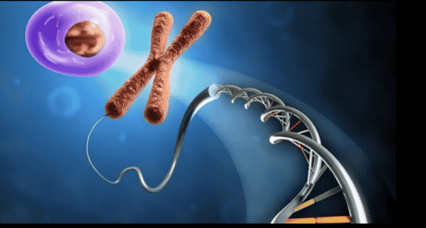 6th Chemistry World Congress: Innovations in Molecular Science