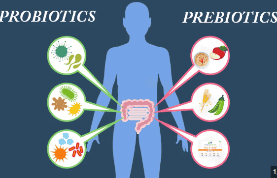 4th International Conference on Probiotics, Prebiotics & Gut Health