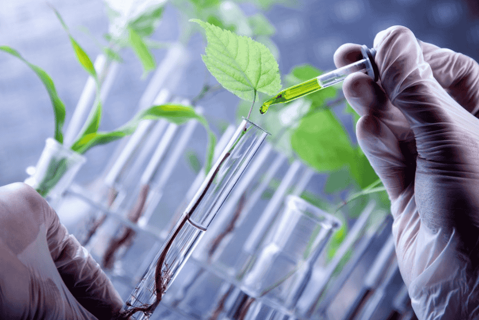 10th Global Congress on Plant Science, Biology & Biotechnology