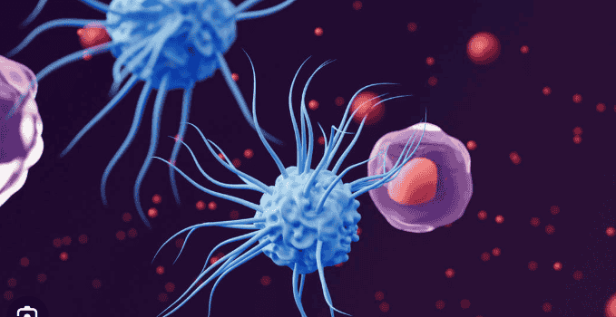 2nd International Conference on Cancer Research & Immuno-Oncology