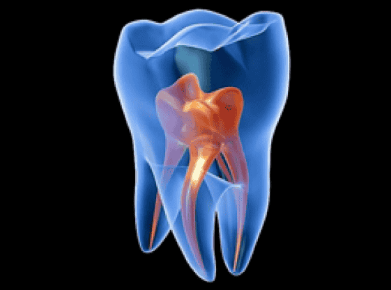 11th International Conference on Dental Innovations & Digital Technologies