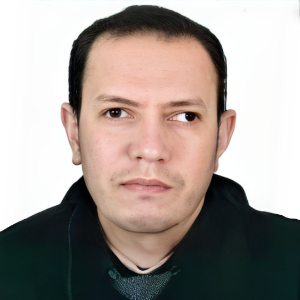 Speaker at Conference - Mahmoud Moahmed Elalfy Elhefnawy