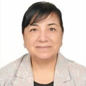 Speaker at Conference - Terin Adali