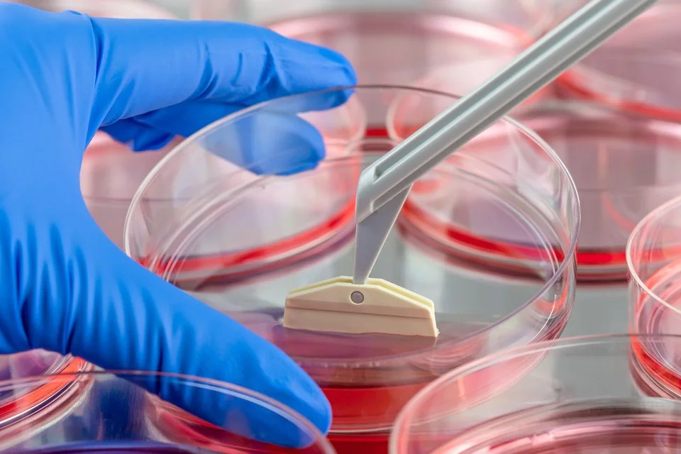 International Conference on Tissue Engineering & Regenerative Medicine