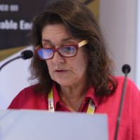 Speaker at Conference - Helena Belchior Rocha
