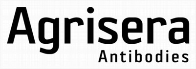 Agrisera Antibodies