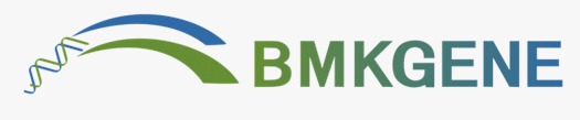BMKGENE